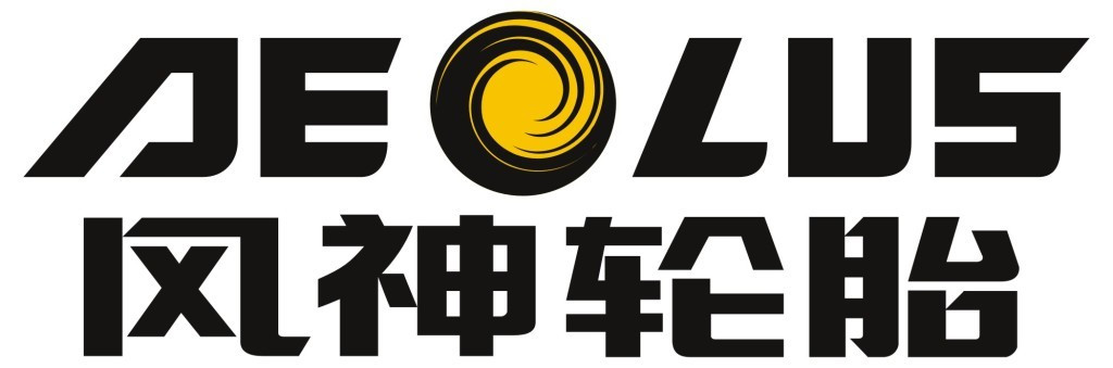 風(fēng)神輪胎-深圳市達(dá)宏美拓密度測(cè)量?jī)x器有限公司